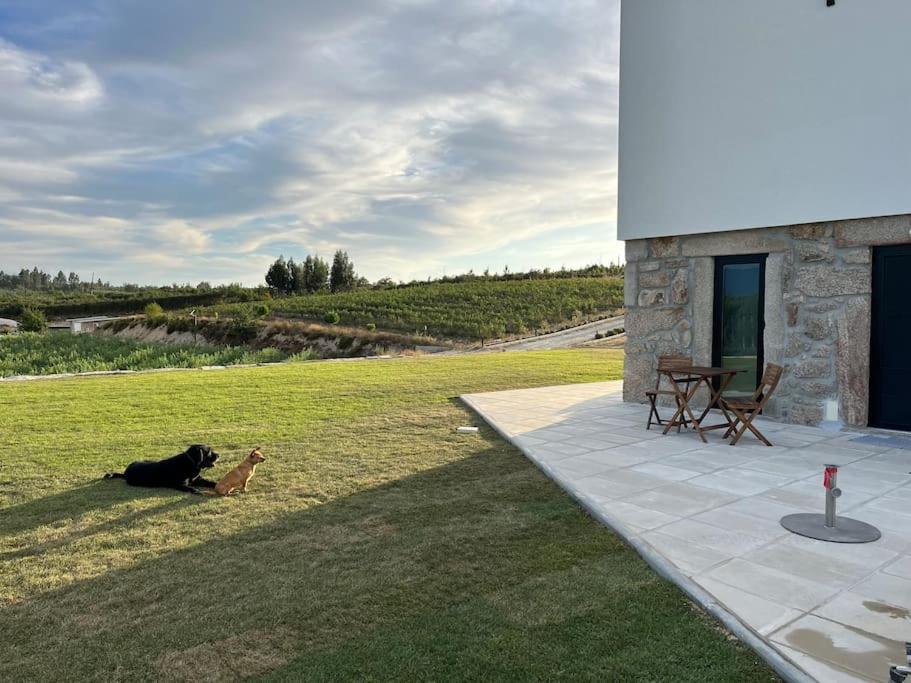 Quinta Do Carregal Villa Mangualde Exterior foto